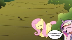 Size: 1920x1080 | Tagged: safe, edit, edited screencap, idw, screencap, fluttershy, princess cadance, alicorn, pegasus, pony, cadance laughs at your misery, constipated, exploitable meme, meme, out of context