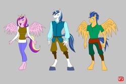 Size: 1095x730 | Tagged: safe, artist:lordvader914, flash sentry, princess cadance, shining armor, anthro, unguligrade anthro, hooves, simple background