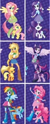 Size: 506x1250 | Tagged: safe, applejack, fluttershy, pinkie pie, rainbow dash, rarity, twilight sparkle, equestria girls, humanized