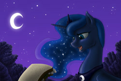 Size: 2000x1343 | Tagged: safe, artist:anadukune, princess luna, alicorn, pony, night, sandwich, solo