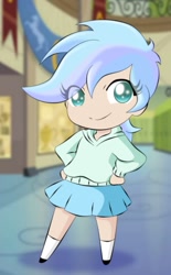 Size: 703x1136 | Tagged: safe, artist:taekwon-magic, oc, oc only, oc:frozen rose, equestria girls, chibi, clothes, cute, looking at you, skirt, smiling, socks, solo, sweater