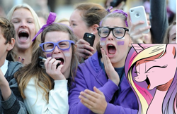 Size: 617x401 | Tagged: safe, princess cadance, human, british, cadance laughs at your misery, crying, exploitable meme, female, irl, irl human, meme, obligatory pony, one direction, photo