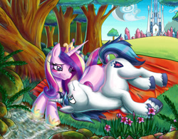 Size: 1024x798 | Tagged: safe, artist:kcday, princess cadance, shining armor, alicorn, pony, unicorn, blanket, crystal empire, cute, cutedance, forest, on side, prone, river, scenery, shining adorable, shiningcadance, shipping, stream, tree