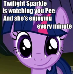 Size: 449x455 | Tagged: safe, derpibooru import, twilight sparkle, pony, caption, female, grin, implied watersports, looking at you, mare, smiling, solo