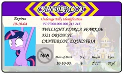 Size: 500x300 | Tagged: safe, artist:doctorxfizzle, derpibooru import, twilight sparkle, filly twilight sparkle, full name, license, younger