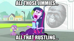 Size: 625x351 | Tagged: safe, edit, edited screencap, screencap, spike, twilight sparkle, dog, gorilla, equestria girls, equestria girls (movie), image macro, jimmies, spike the dog