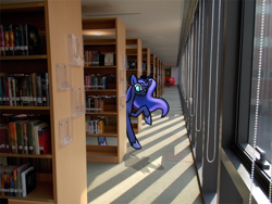 Size: 800x600 | Tagged: safe, artist:karlaandbliss, princess luna, book, irl, library, looking at you, lunadoodle, photo, ponies in real life, smiling, solo