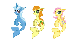 Size: 896x600 | Tagged: safe, artist:starryoak, derpibooru import, carrot top, fluttershy, golden harvest, trixie, merpony, simple background, species swap, transparent background