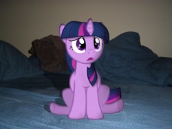 Size: 4000x3000 | Tagged: safe, derpibooru import, twilight sparkle, pony, irl, photo, ponies in real life