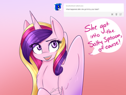 Size: 1280x960 | Tagged: safe, artist:sugarberry, princess cadance, alicorn, pony, ask-cadance, solo, tumblr