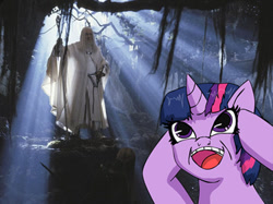 Size: 1000x746 | Tagged: safe, derpibooru import, twilight sparkle, human, gandalf, lord of the rings, staff-fighter, sword, swordfighter, weapon, wizard