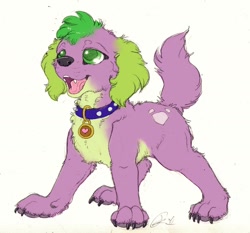 Size: 1280x1192 | Tagged: safe, artist:dimwitdog, spike, dog, equestria girls, collar, cute, fluffy, happy, realistic, solo, spikabetes, spike the dog, spike's dog collar