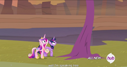 Size: 1152x610 | Tagged: safe, screencap, princess cadance, twilight sparkle, twilight sparkle (alicorn), alicorn, pony, three's a crowd, female, mare, meme, thinking tree, youtube caption