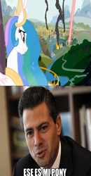 Size: 375x720 | Tagged: safe, princess celestia, human, enrique pea nieto, epn, image macro, irl, irl human, meme, mexico, photo, spanish, trollestia, tyrant celestia