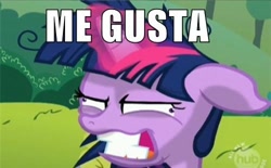 Size: 500x309 | Tagged: safe, derpibooru import, edit, edited screencap, screencap, twilight sparkle, lesson zero, crazy face, cropped, faic, me gusta, solo, twilight snapple