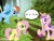 Size: 651x500 | Tagged: artist needed, safe, fluttershy, princess cadance, rainbow dash, alicorn, pegasus, pony, fluttertree, ponies in the forest, tree