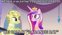 Size: 832x468 | Tagged: safe, princess cadance, alicorn, crystal pony, pony, caption, golden glitter, image macro, meme, princess of love, valentine's day