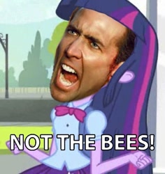 Size: 661x700 | Tagged: safe, edit, edited screencap, screencap, twilight sparkle, equestria girls, equestria girls (movie), cropped, exploitable meme, image macro, meme, nicolas cage, solo, twiscream