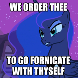 Size: 1048x1048 | Tagged: safe, princess luna, alicorn, pony, image macro, meme, reaction image, vulgar