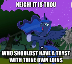 Size: 1176x1048 | Tagged: safe, princess luna, alicorn, pony, comeback, image macro, meme, no u, reaction image, traditional royal canterlot voice, vulgar, ye olde english