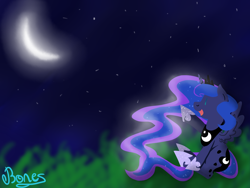 Size: 1280x960 | Tagged: safe, artist:nothin-but-my-bones, princess luna, alicorn, pony, lunadoodle, moon, night, solo