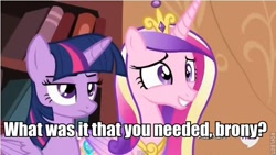 Size: 617x347 | Tagged: safe, screencap, princess cadance, twilight sparkle, twilight sparkle (alicorn), alicorn, pony, bronybait, caption, cute, female, frown, grin, mare, nervous, roflbot, smiling, unamused