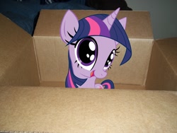 Size: 1200x900 | Tagged: safe, derpibooru import, twilight sparkle, pony, box, irl, photo, ponies in real life