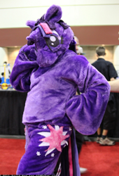 Size: 424x624 | Tagged: safe, derpibooru import, twilight sparkle, human, cosplay, fursuit, irl, irl human, photo