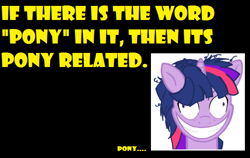 Size: 636x403 | Tagged: safe, derpibooru import, dusk shine, twilight sparkle, pony, unicorn, barely pony related, creepy smile, derp, grin, messy mane, meta, rule 63, shrunken pupils, solo, text, twilight snapple, unicorn dusk shine, yellow words