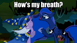 Size: 710x400 | Tagged: safe, edit, edited screencap, screencap, princess luna, twilight sparkle, unicorn twilight, alicorn, pony, unicorn, luna eclipsed, female, image macro, mare, meme, star swirl the bearded costume, text