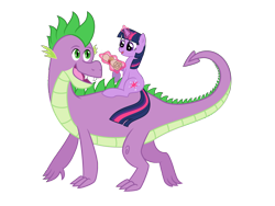 Size: 3333x2500 | Tagged: safe, artist:nianara, derpibooru import, spike, twilight sparkle, dragon, adult spike, high res, older, older spike, simple background, transparent background