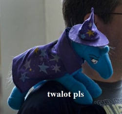 Size: 440x410 | Tagged: artist needed, safe, derpibooru import, trixie, human, image macro, irl, irl human, meme, photo, plushie, solo, traksi, twalot spakl