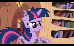 Size: 1024x640 | Tagged: safe, derpibooru import, screencap, twilight sparkle, it's about time, dirty, youtube caption