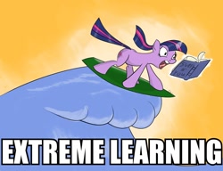 Size: 900x690 | Tagged: safe, artist:rankao, derpibooru import, twilight sparkle, book, extreme, extreme learning, image macro, surfing