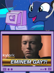 Size: 730x1000 | Tagged: safe, princess luna, alicorn, pony, eminem, exploitable meme, meme, obligatory pony, the interview, tv meme