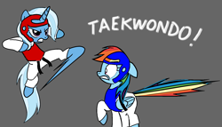 Size: 1748x1000 | Tagged: safe, anonymous artist, derpibooru import, rainbow dash, trixie, pegasus, pony, unicorn, base used, black belt, chest guard, clothes, duo, female, fight, get, gi, gray background, headgear, kick, mare, martial arts, robe, simple background, taekwondo, this will end in pain, trousers
