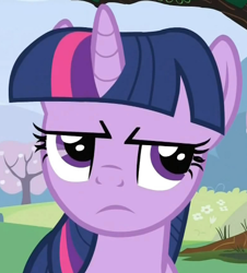 Size: 452x500 | Tagged: safe, derpibooru import, screencap, twilight sparkle, unicorn twilight, pony, unicorn, a canterlot wedding, cropped, female, frown, mare, solo