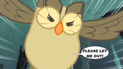 Size: 1024x576 | Tagged: safe, artist:voreediter, edit, owlowiscious, spike, bird, owl, eaten alive, fetish, predation, speech bubble, spikeprey, vore