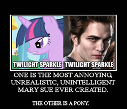 Size: 518x443 | Tagged: safe, derpibooru import, twilight sparkle, bait and switch, demotivational poster, edward cullen, meme, namesake, plot twist, twilight (series)