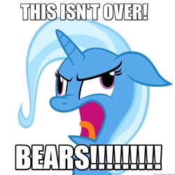 Size: 894x894 | Tagged: safe, artist:navitaserussirus, derpibooru import, edit, trixie, pony, unicorn, christopher walken, female, image macro, mare, meme, simple background, solo, the country bears, trixie yells at everything, vector, wheels trixie, white background