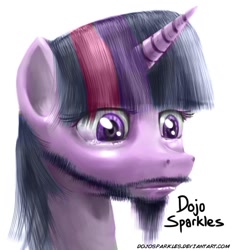 Size: 662x709 | Tagged: safe, artist:dojosparkles, derpibooru import, twilight sparkle, beard, crying