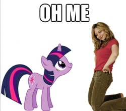 Size: 614x540 | Tagged: safe, derpibooru import, twilight sparkle, human, caption, funny, meme, pun, tara strong, voice actor joke