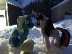 Size: 4608x3456 | Tagged: safe, artist:wilshirewolf, derpibooru import, trixie, twilight sparkle, pony, female, irl, lesbian, photo, plushie, shipping, snow, twixie