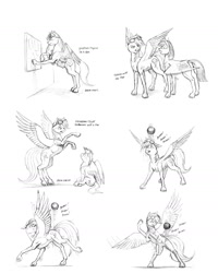 Size: 1152x1440 | Tagged: safe, artist:baron engel, rainbow dash, oc, oc:sky brush, pegasus, pony, ball, bipedal, bouncing, monochrome, open mouth, pencil drawing, rearing, sitting, smiling, spread wings, story in the source, traditional art