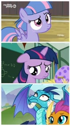 Size: 935x1682 | Tagged: safe, edit, screencap, princess ember, smolder, twilight sparkle, wind sprint, dragon, pegasus, pony, unicorn, common ground, school daze, the cutie mark chronicles, chalkboard, claws, discovery family logo, egg, female, filly, filly twilight sparkle, foal, hands on head, horn, meme, pony racism, slit eyes, spread wings, wings, younger