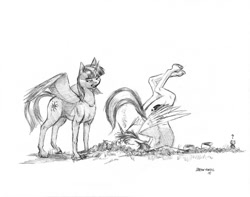 Size: 1000x786 | Tagged: safe, artist:baron engel, shining armor, twilight sparkle, twilight sparkle (alicorn), alicorn, bear, pony, unicorn, fanfic:a different perspective, alicornified, backbend, crash, face down ass up, faceplant, fanfic art, flying lesson, grayscale, monochrome, pencil drawing, prince shining armor, race swap, traditional art, you're doing it wrong