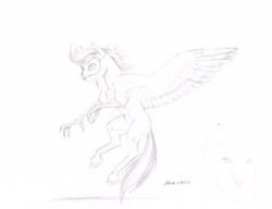 Size: 3228x2478 | Tagged: safe, artist:baron engel, oc, oc only, oc:silent flight, hippogriff, owl, mask, monochrome, pencil drawing, traditional art