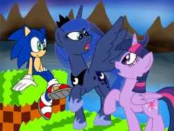 Size: 1024x768 | Tagged: safe, artist:biosonic100, princess luna, twilight sparkle, twilight sparkle (alicorn), alicorn, pony, chaos in equestria, crossover, fanfic, fanfic art, female, green hill zone, mare, sonic the hedgehog, sonic the hedgehog (series)