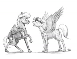 Size: 1400x1070 | Tagged: safe, artist:baron engel, thunderlane, oc, oc:black rain, oc:sky brush, pegasus, pony, angry, duo, goggles, grayscale, monochrome, pencil drawing, sketch, spread wings, story in the comments, story included, traditional art