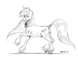 Size: 1400x1069 | Tagged: safe, artist:baron engel, oc, oc only, pony, dock, fabio lanzoni, glare, grayscale, looking at you, monochrome, pencil drawing, ponified, raised hoof, raised leg, simple background, sketch, smirk, solo, traditional art, unshorn fetlocks, white background, windswept mane